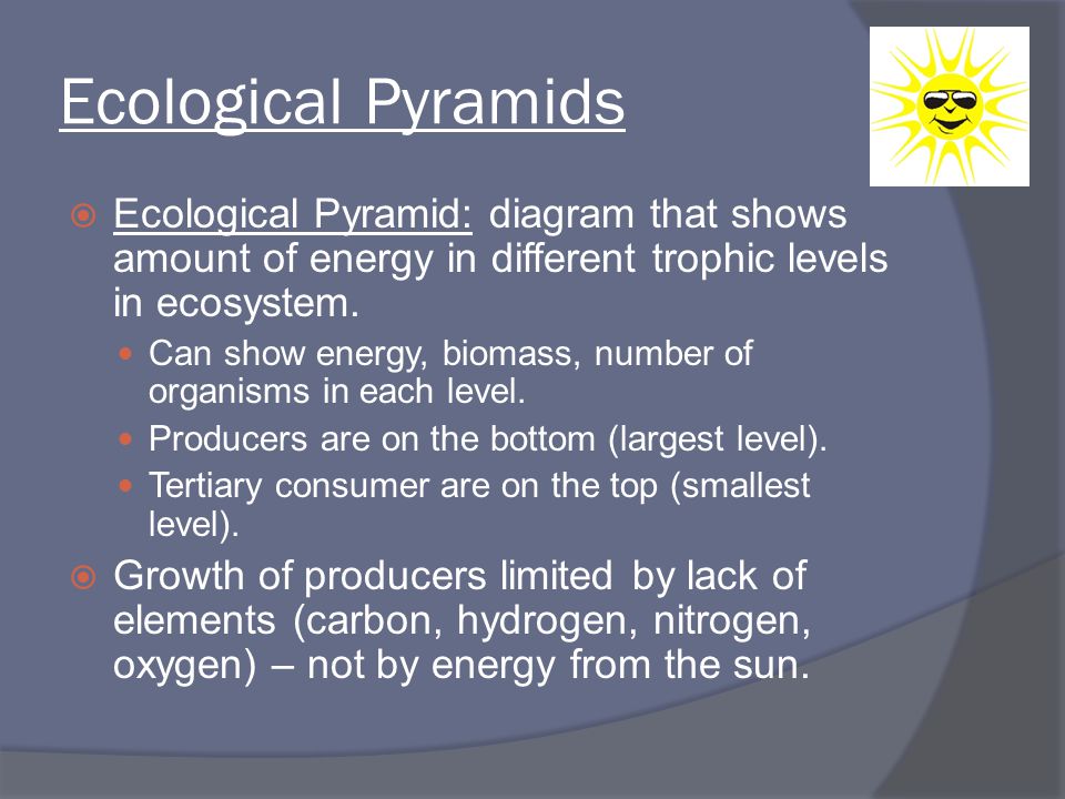 Ecological Pyramids Ecological Pyramid: diagram that shows amount of energy in different trophic levels in ecosystem.