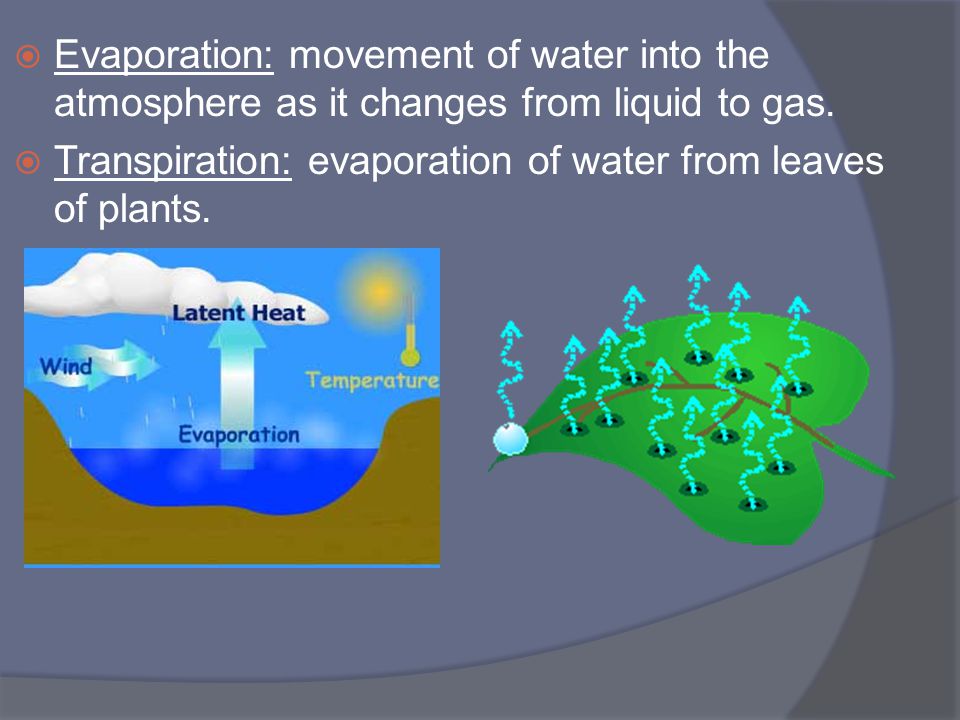 Evaporation: movement of water into the atmosphere as it changes from liquid to gas.