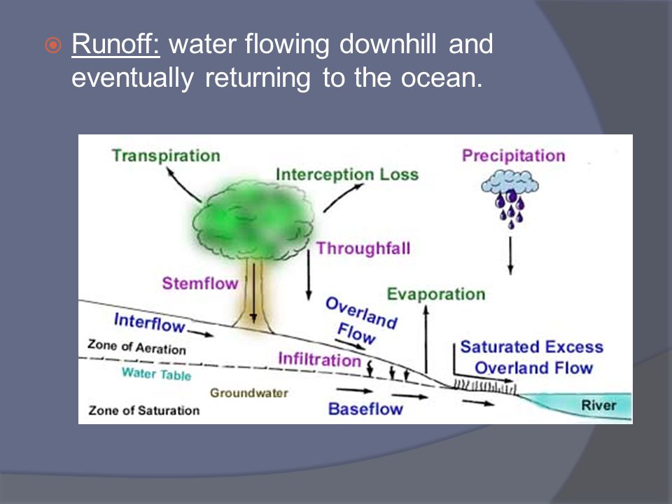 Runoff: water flowing downhill and eventually returning to the ocean.