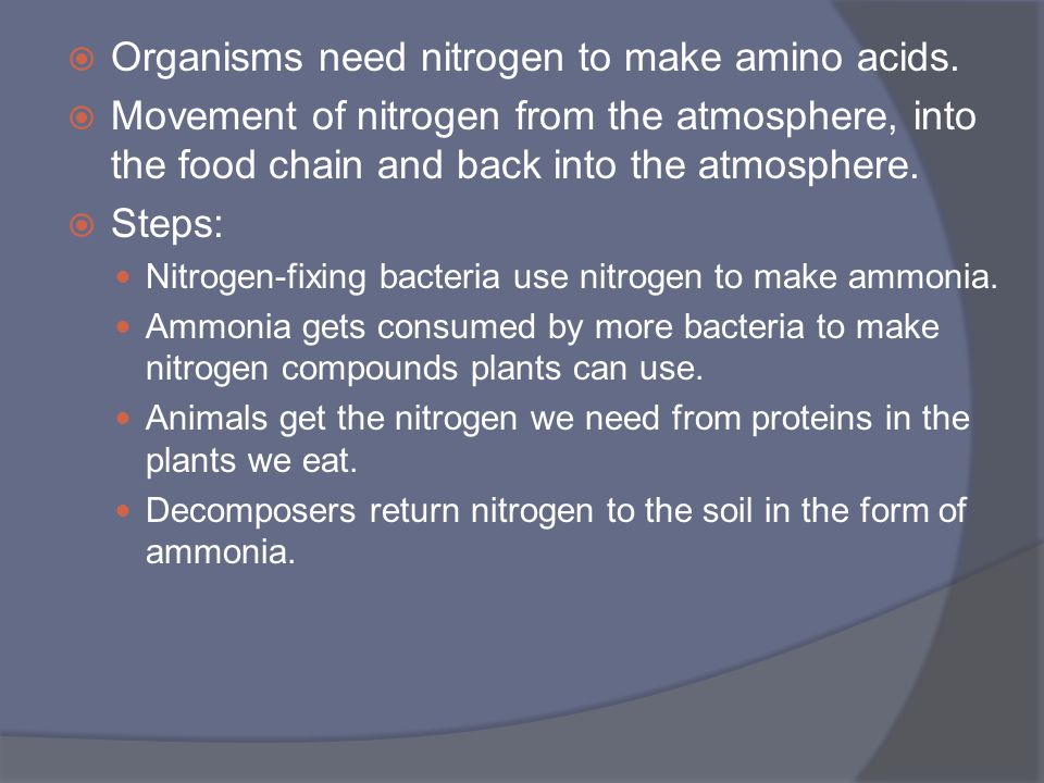 Organisms need nitrogen to make amino acids.