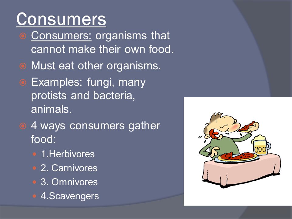 Consumers Consumers: organisms that cannot make their own food.