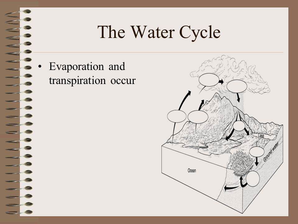 The Water Cycle Evaporation and transpiration occur