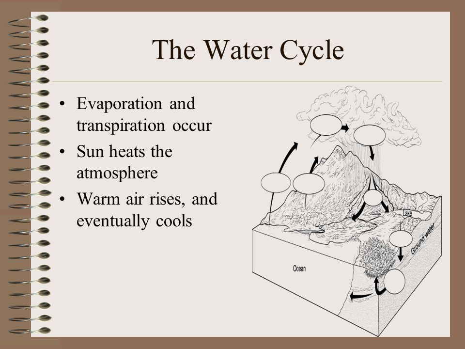 The Water Cycle Evaporation and transpiration occur