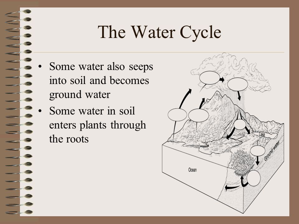 The Water Cycle Some water also seeps into soil and becomes ground water.