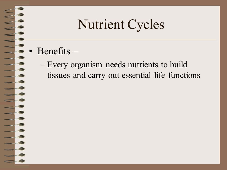 Nutrient Cycles Benefits –