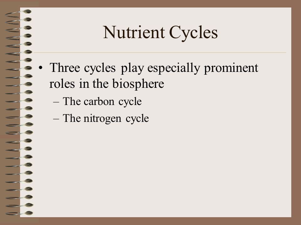 Nutrient Cycles Three cycles play especially prominent roles in the biosphere.