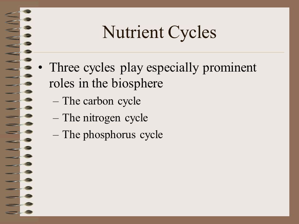 Nutrient Cycles Three cycles play especially prominent roles in the biosphere. The carbon cycle. The nitrogen cycle.