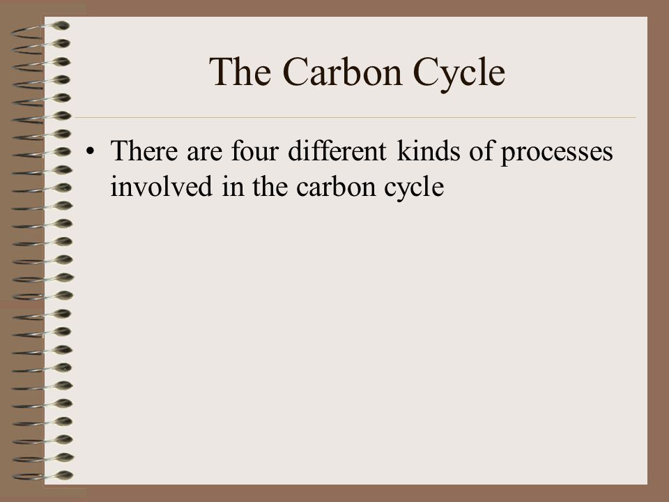 The Carbon Cycle There are four different kinds of processes involved in the carbon cycle