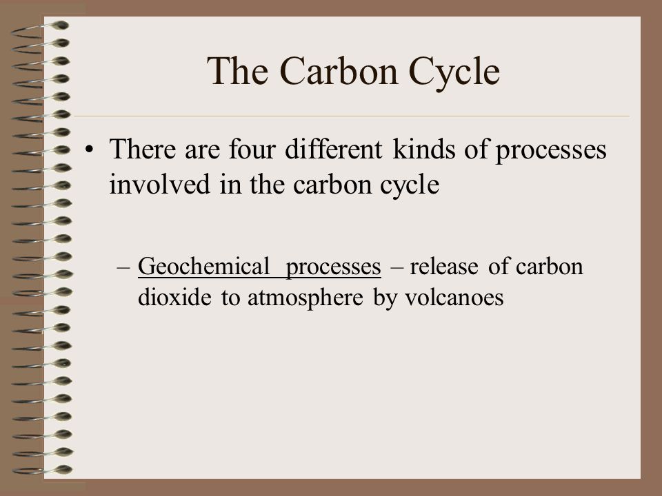The Carbon Cycle There are four different kinds of processes involved in the carbon cycle.