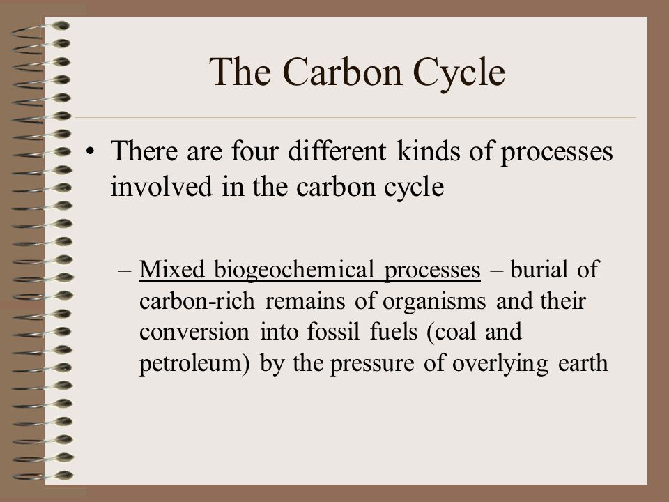 The Carbon Cycle There are four different kinds of processes involved in the carbon cycle.