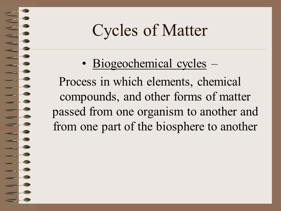 Biogeochemical cycles –