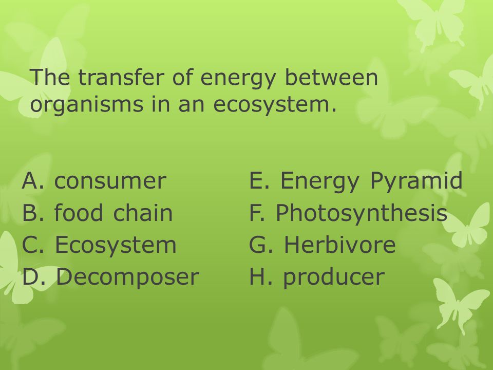 The transfer of energy between organisms in an ecosystem.