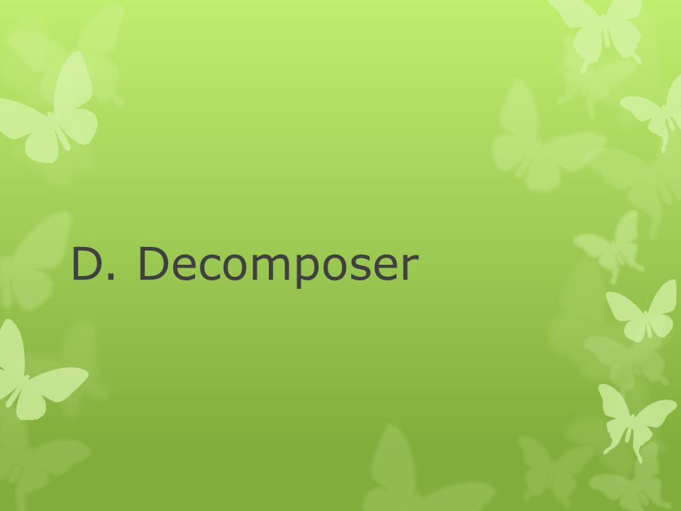 D. Decomposer