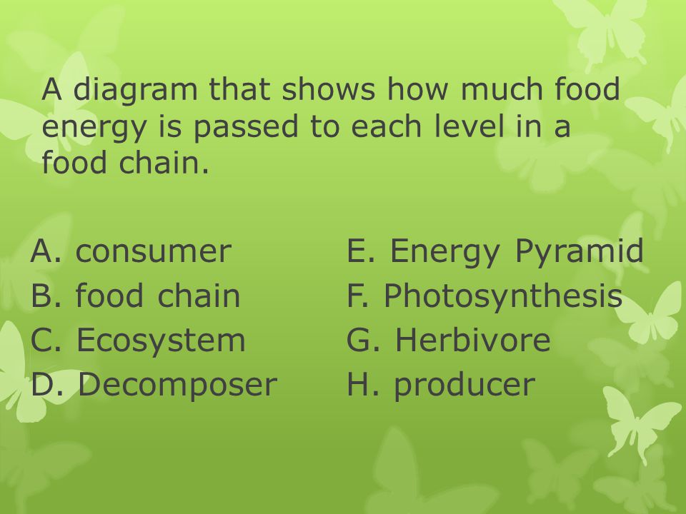 A. consumer E. Energy Pyramid B. food chain F. Photosynthesis