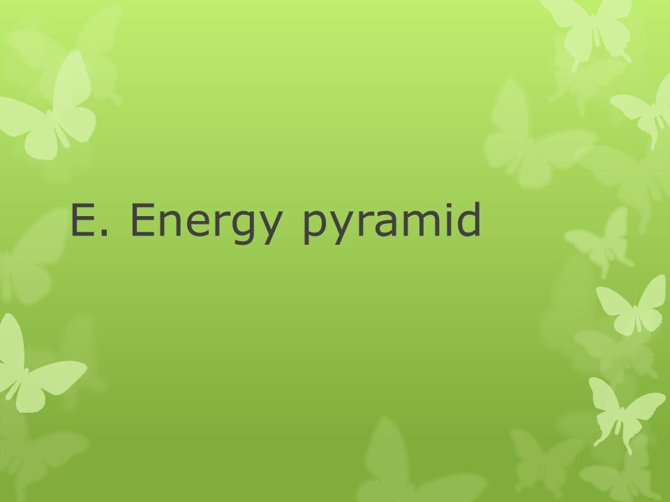 E. Energy pyramid