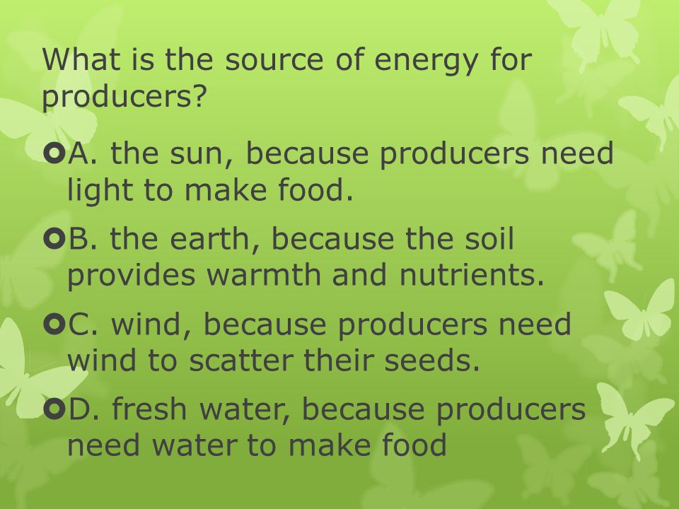 What is the source of energy for producers