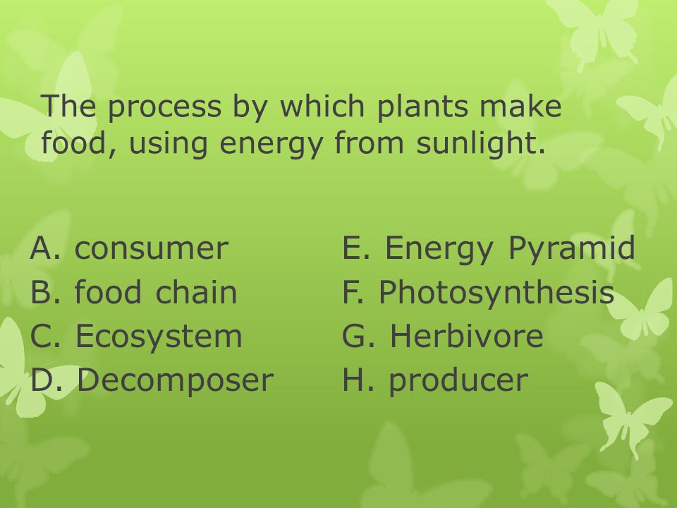 The process by which plants make food, using energy from sunlight.