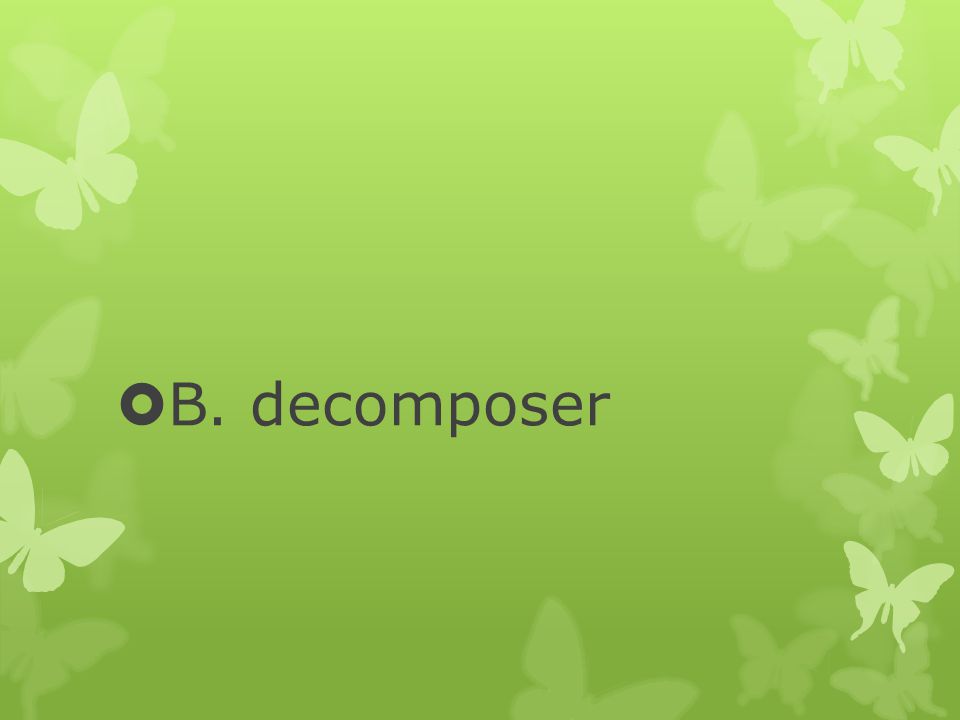 B. decomposer