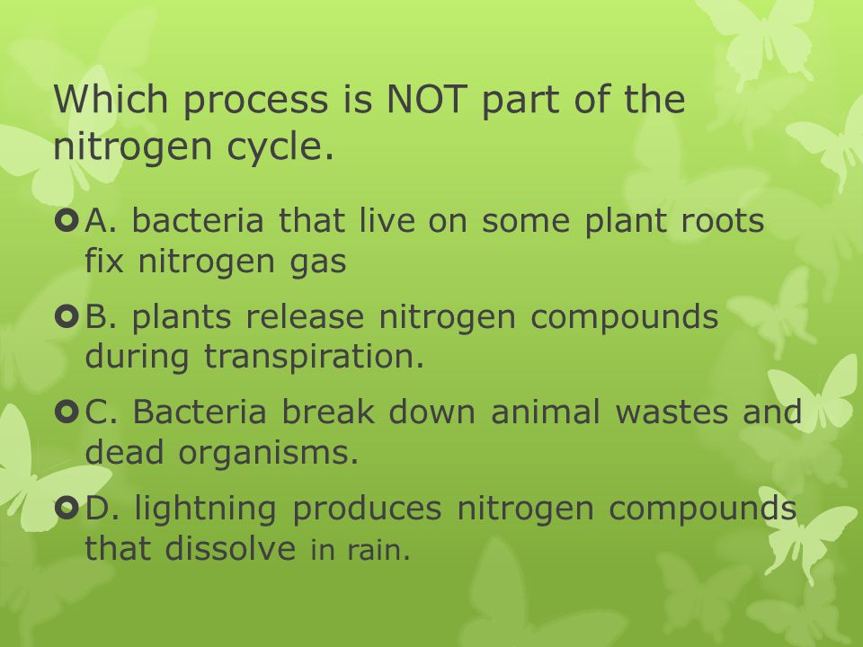 Which process is NOT part of the nitrogen cycle.
