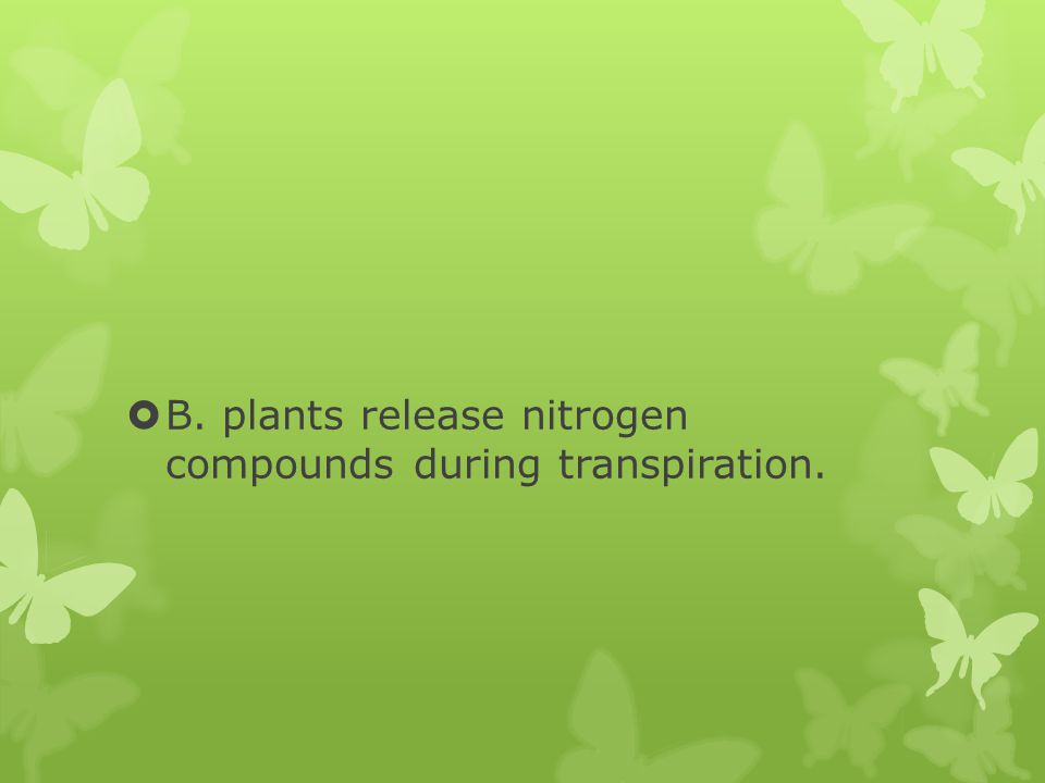 B. plants release nitrogen compounds during transpiration.