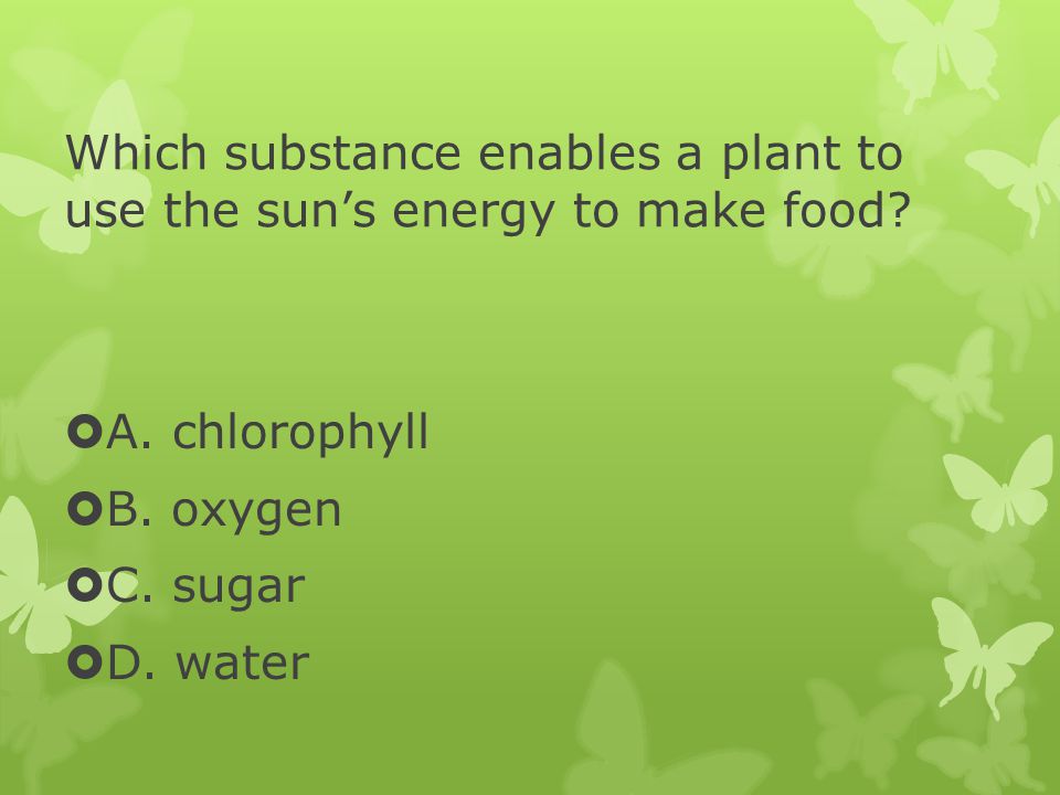 Which substance enables a plant to use the sun’s energy to make food