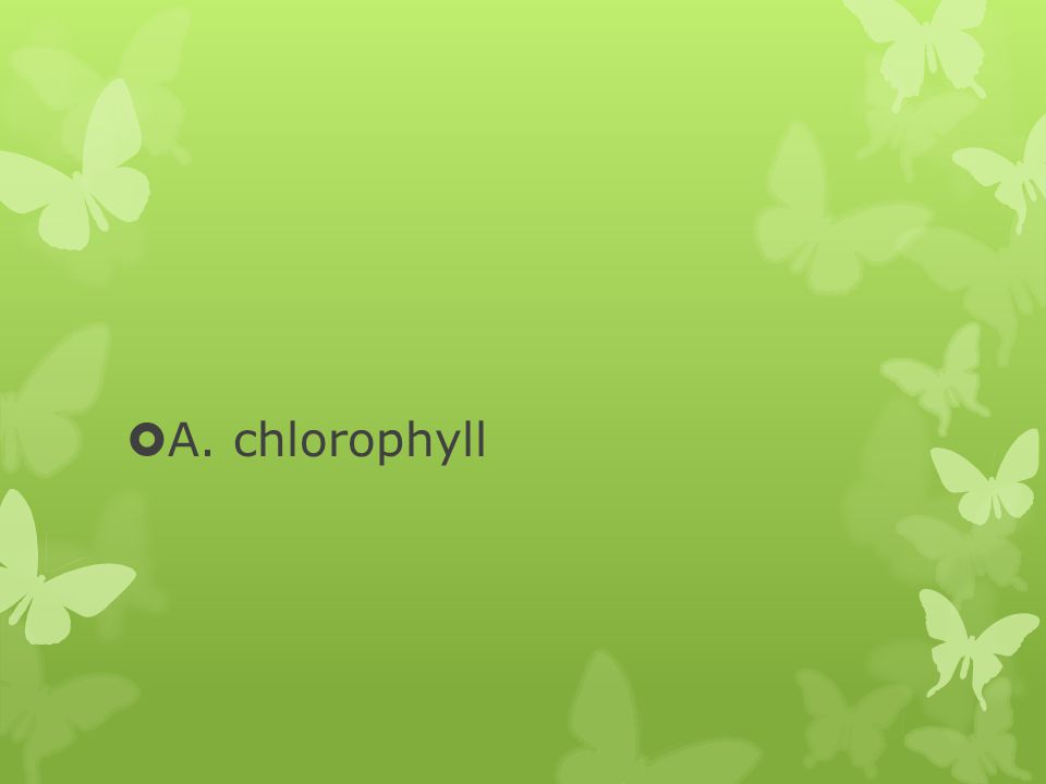 A. chlorophyll