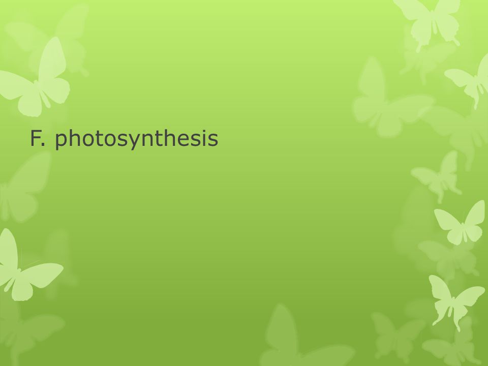F. photosynthesis