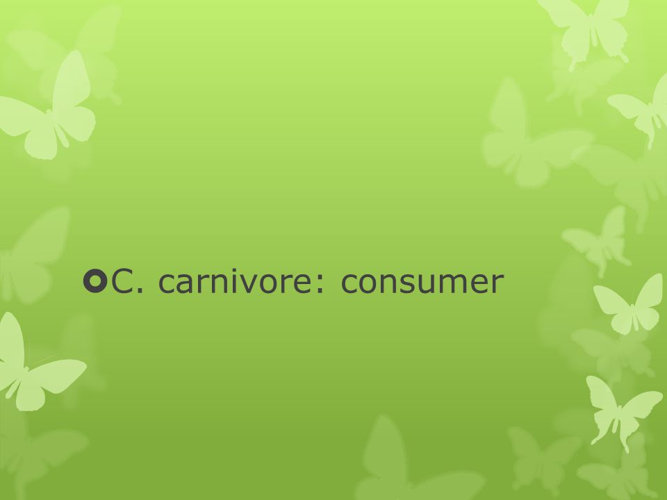 C. carnivore: consumer