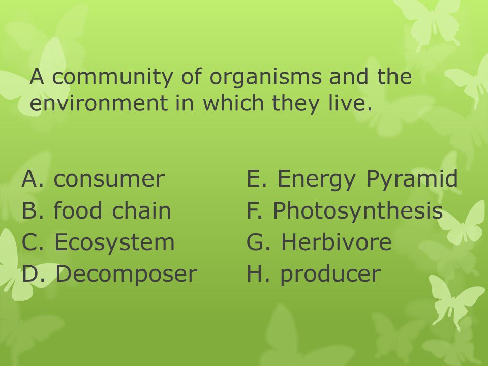 A community of organisms and the environment in which they live.