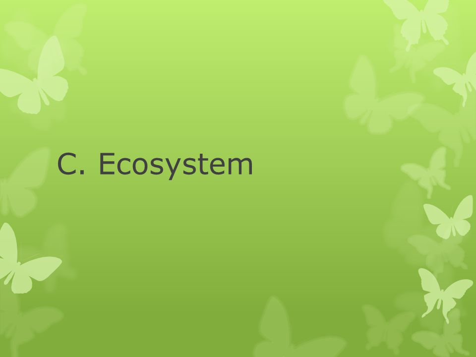 C. Ecosystem