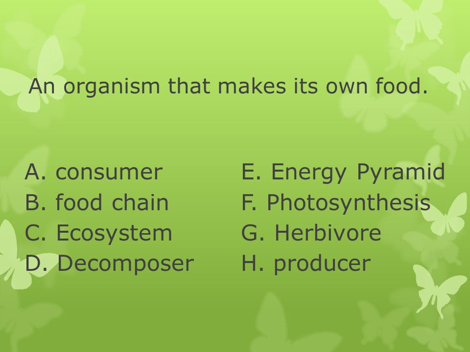 An organism that makes its own food.