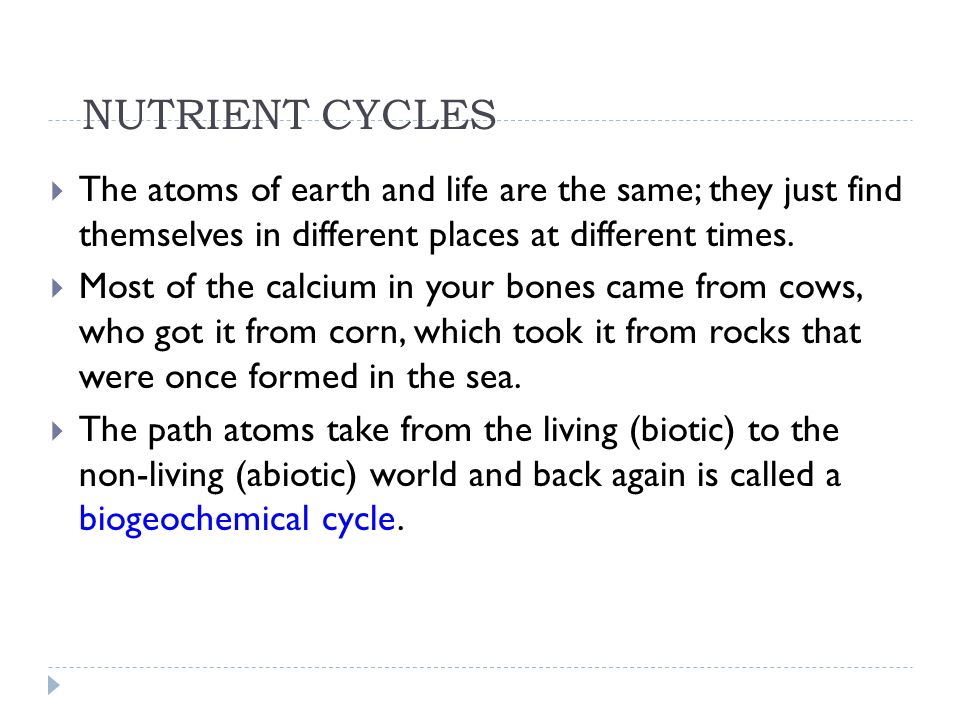 NUTRIENT CYCLES The atoms of earth and life are the same; they just find themselves in different places at different times.
