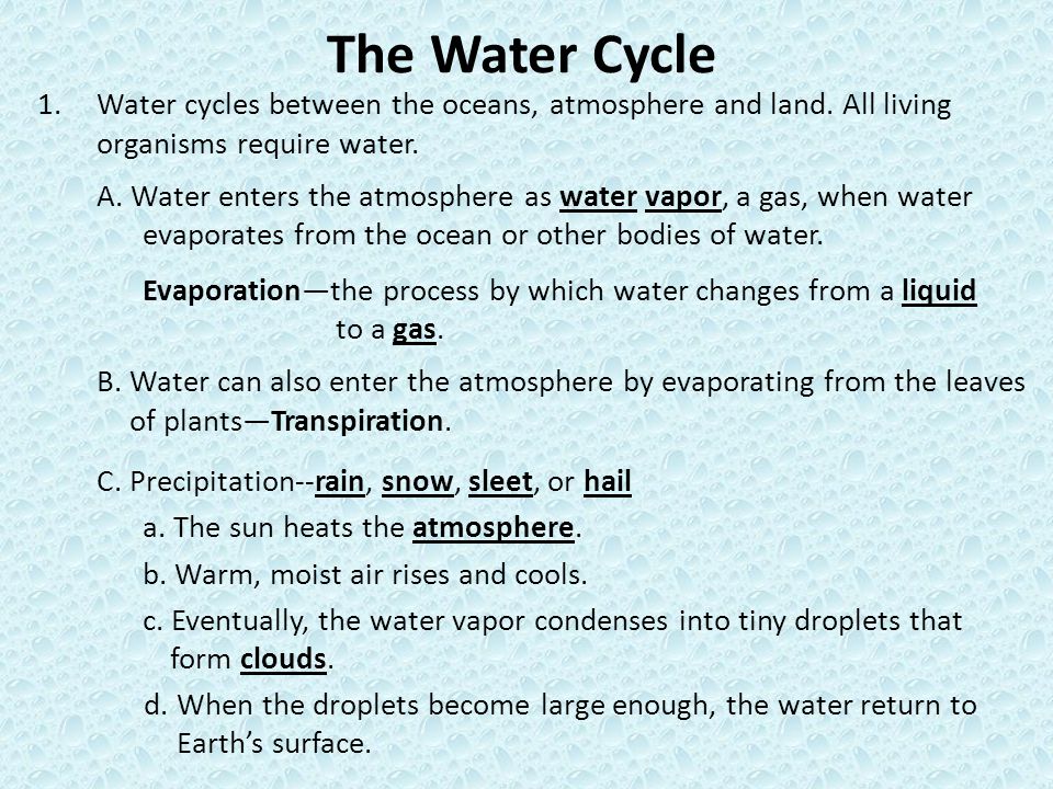 The Water Cycle Water cycles between the oceans, atmosphere and land. All living organisms require water.