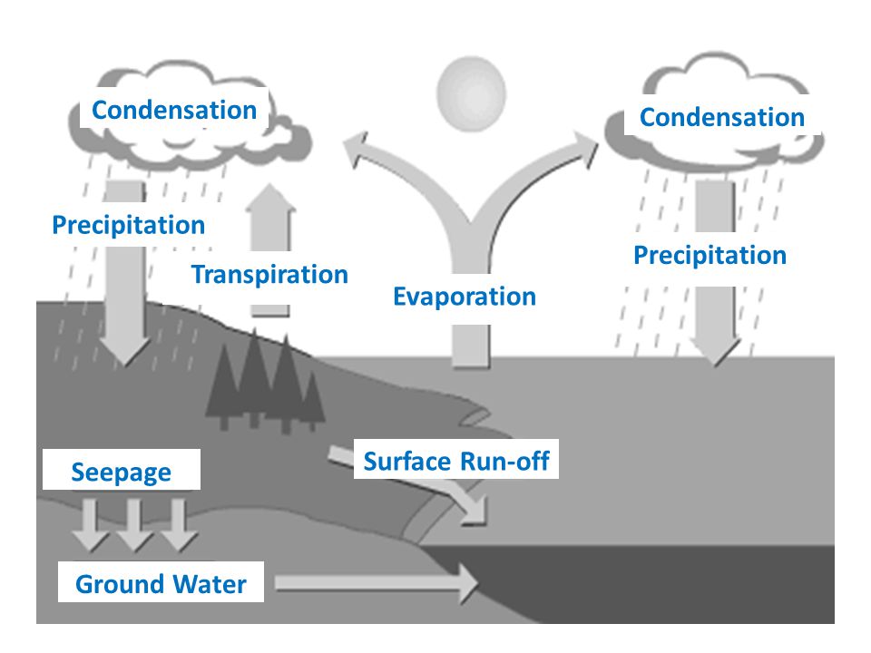 Condensation Condensation. Precipitation. Precipitation. Transpiration. Evaporation. Surface Run-off.