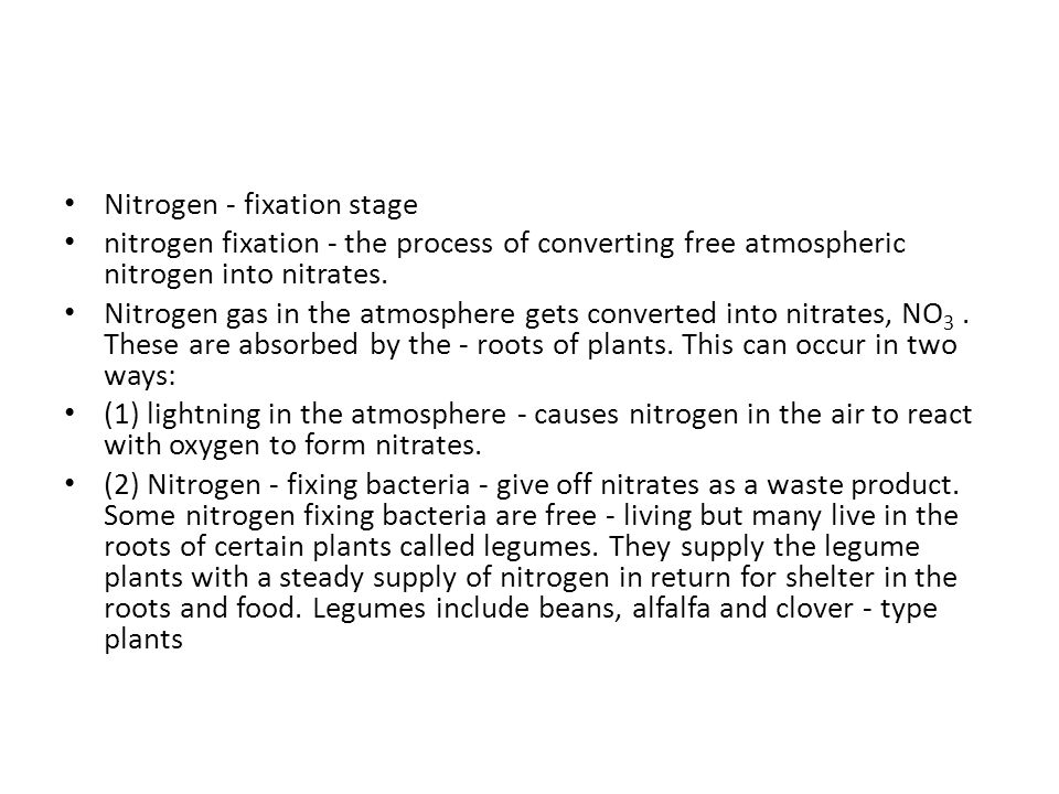 Nitrogen - fixation stage