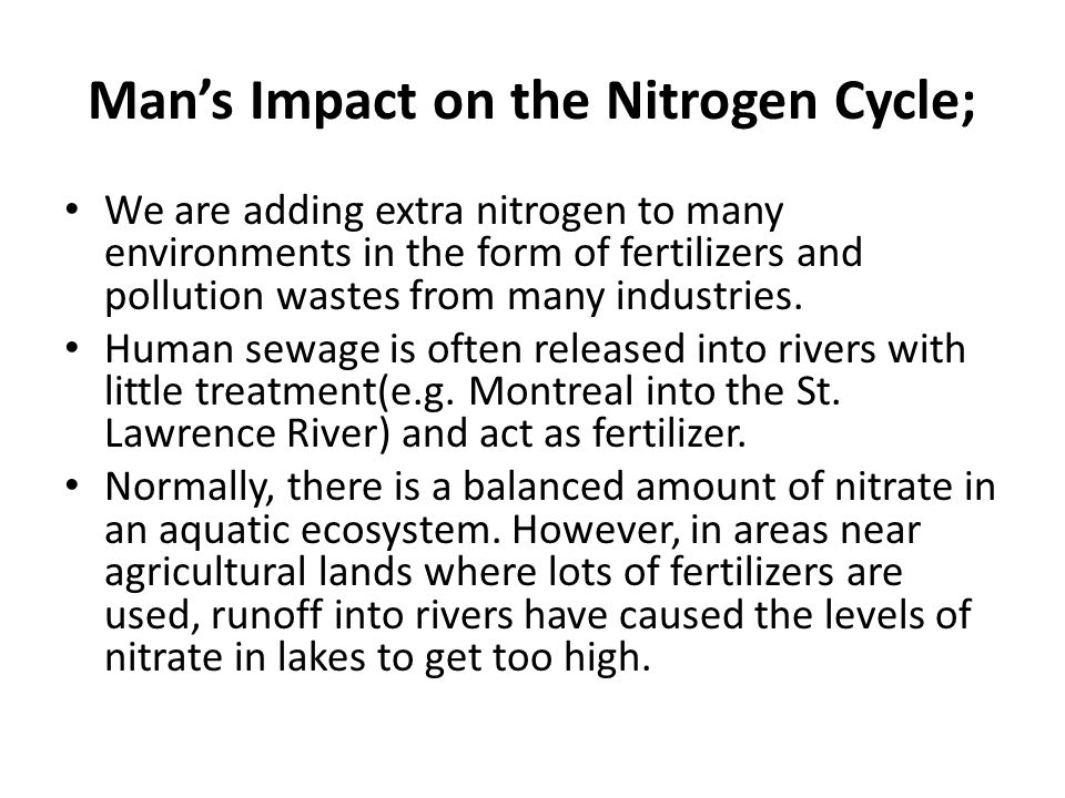 Man’s Impact on the Nitrogen Cycle;