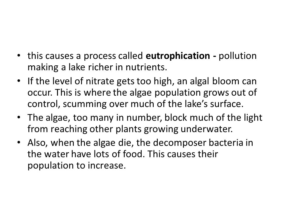 this causes a process called eutrophication - pollution making a lake richer in nutrients.