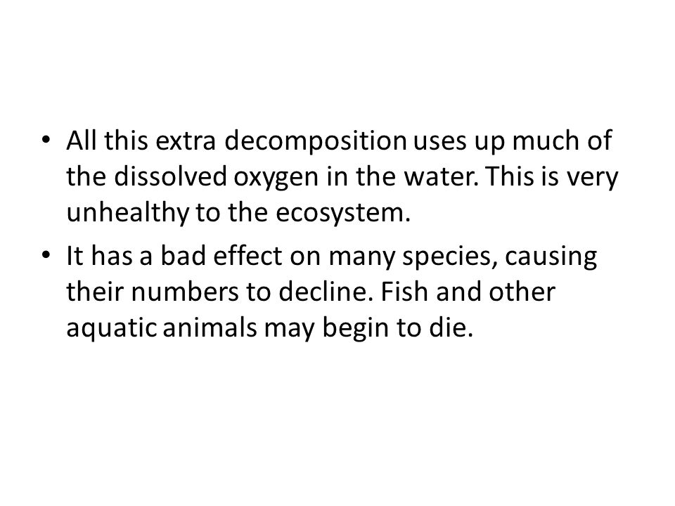 All this extra decomposition uses up much of the dissolved oxygen in the water. This is very unhealthy to the ecosystem.