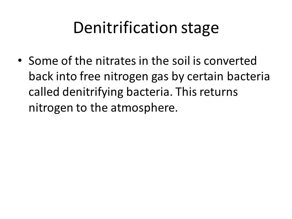 Denitrification stage