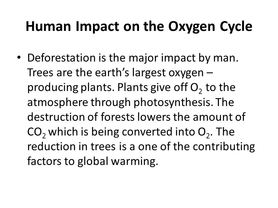 Human Impact on the Oxygen Cycle