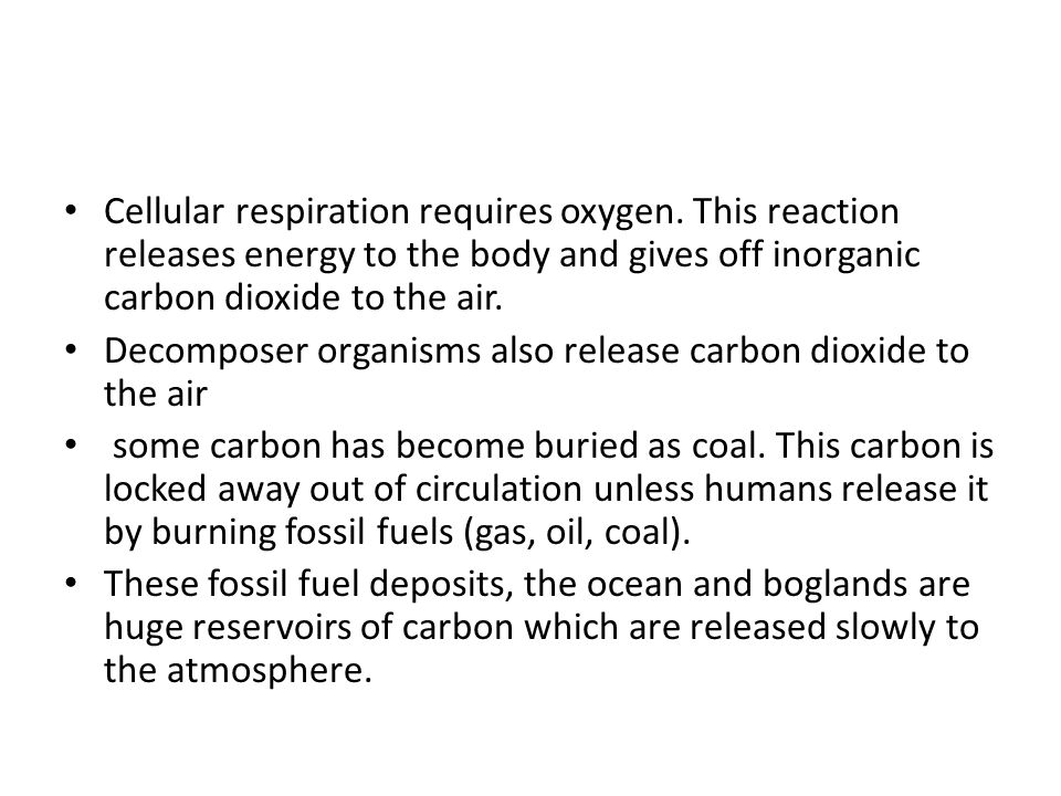 Cellular respiration requires oxygen