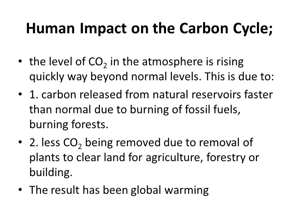 Human Impact on the Carbon Cycle;