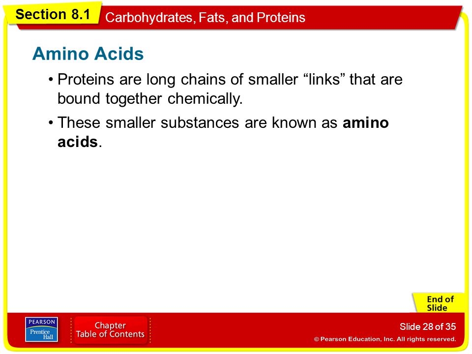 Amino Acids Proteins are long chains of smaller links that are bound together chemically.