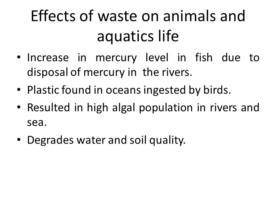 Effects of waste on animals and aquatics life