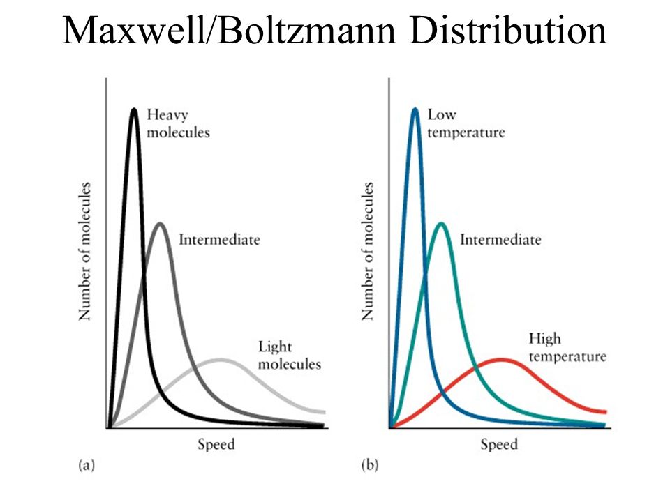 Maxwell/Boltzmann Distribution.