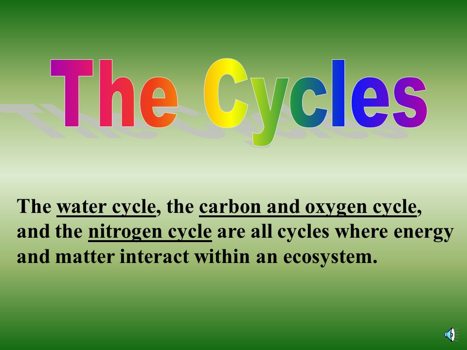 The Cycles The water cycle, the carbon and oxygen cycle, and the nitrogen cycle are all cycles where energy and matter interact within an ecosystem.