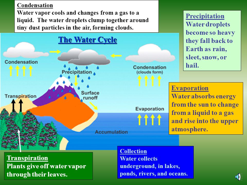 The Water Cycle Precipitation