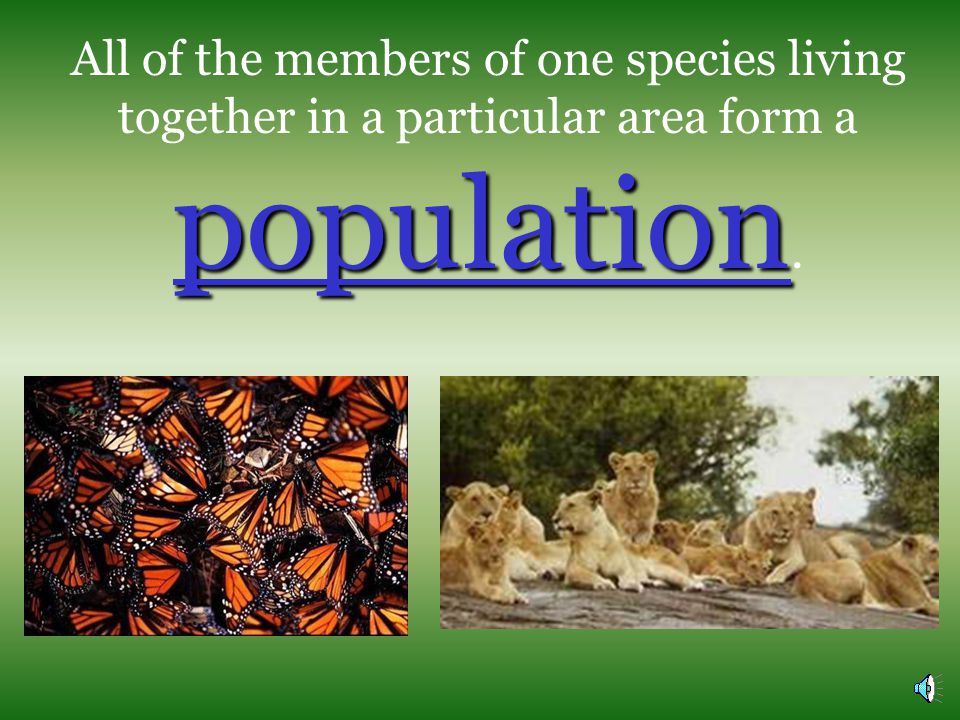 All of the members of one species living together in a particular area form a population.