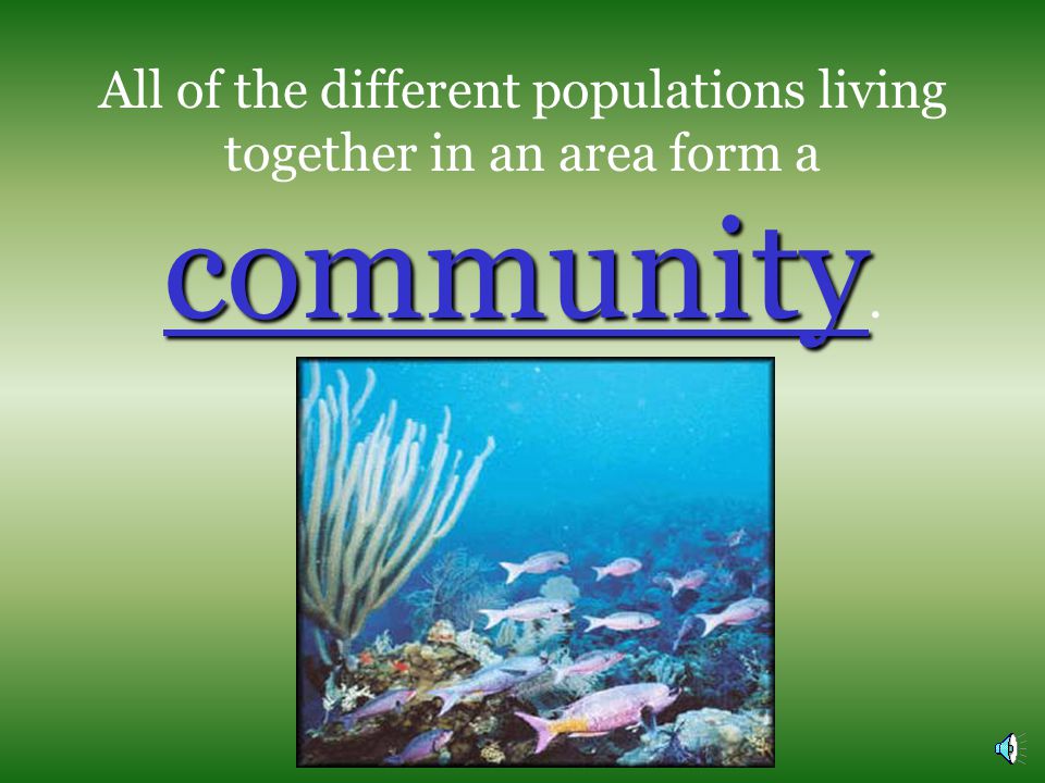 All of the different populations living together in an area form a community.