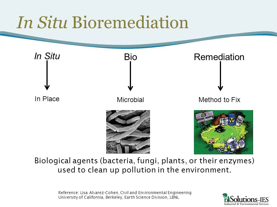 In situ. Биоремедиация in situ. Биоремедиация почв in situ. Методы in situ и ex situ. Технология in situ.